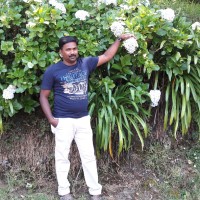 Manikandan Sakkarai