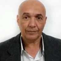Silvio Luis Bertelli
