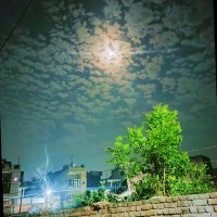Ankit Saroha