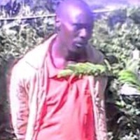 Josea Cheruiyot