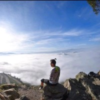 OSCAR AGUDELO TORRES