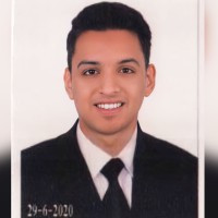 Omar Abdel Nabi