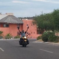 LUIS MAFARA DEL VALLE