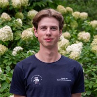 Henrik Ahl