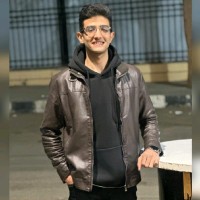 Mahmoud Ahmed Mahrous