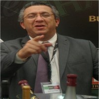 Rui Viegas
