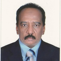 Ali Bashir