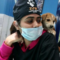 Dr Anjali Kaushal