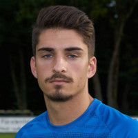 Nebojsa Tosic