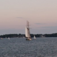 Wi Wa