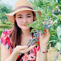 Lai Thi Lan Anh