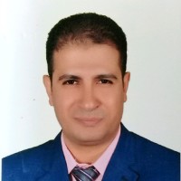 mohamed ghoneim hamed