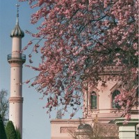 ساره الشهري