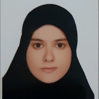 Zeinab Rezaei