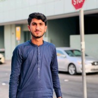 Malik Danish