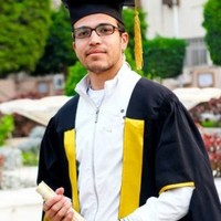 Mahmoud Amer