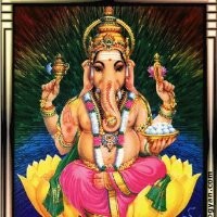 Yogesh Filatex Group KUMAR