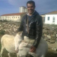 Raffaele MULAS