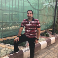 Sayed Mandour