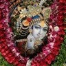neelam chhipa