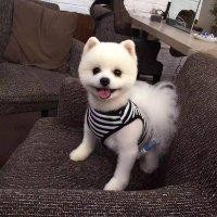 朱健鹏