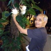 Geetha Muralidhara