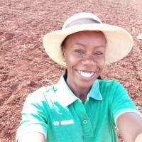 Mwila Chibanda
