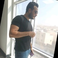 Mohammed Mahmoud Elbediwy