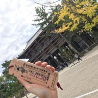 陈嘎嘎