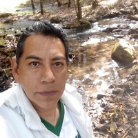 DELFINO REYES NARVAEZ
