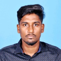 Vignesh P