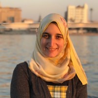 Samar Elsaegh