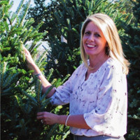 Andrea Daggett Pulling