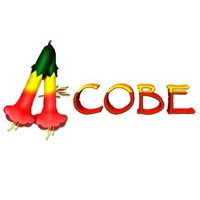 Webmaster Acobe