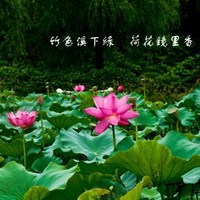 吴为民