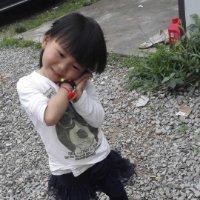 林明龙