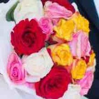 Shahd Mansour