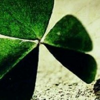 王肖龙