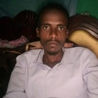 Mohammed Sheh Aliyi