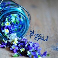 M Majidi