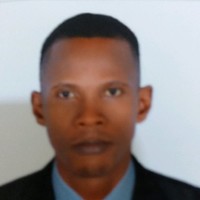 Ademola Ibidapo