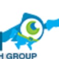 link building services australia