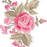 Ali Khursheed