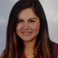 Elif Berfu Polat