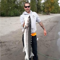 Ryan Rauscher