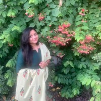 Seema Jain