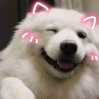 张轶名
