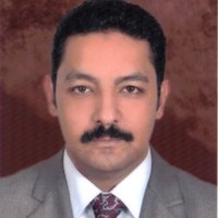 Mohamed Salaheldien