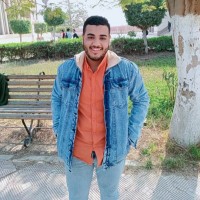 mamdouh Reda