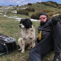 Gildas De Saint Germain